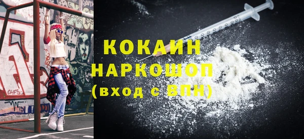 spice Бородино