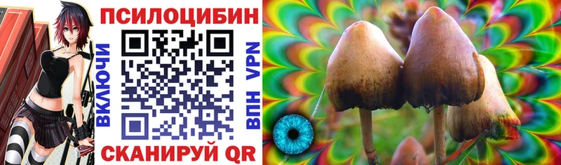 Галлюциногенные грибы мухоморы  Гусиноозёрск 